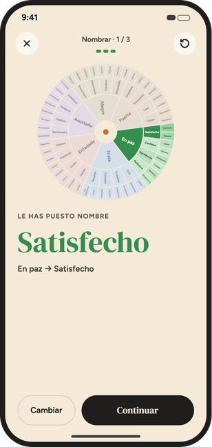 La rueda de emociones en la app, con una palabra elegida a partir de una emoción básica.