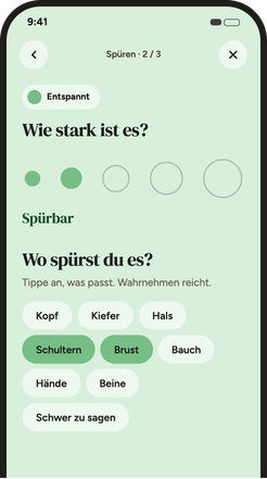 Bildschirm zum Markieren, wie stark ein Gefühl ist und wo es im Körper sitzt.