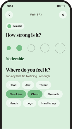 Screen for marking how strong a feeling is and where it sits in the body.