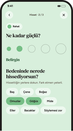 Duygunun yoğunluğunu ve bedendeki yerini işaretleme ekranı.