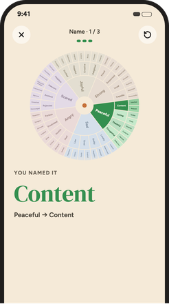 Picking a word on the feelings wheel, from six core feelings down to the exact one.