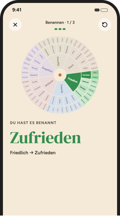 Auswahl eines Wortes im Gefühlsrad, von sechs Grundgefühlen bis zum genauen Wort.