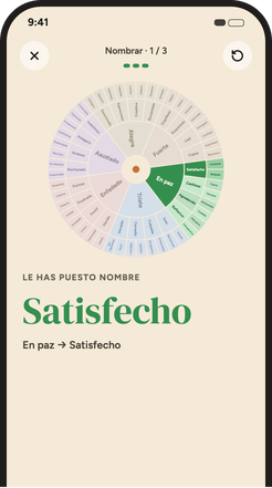 Pantalla para elegir una palabra en la rueda de emociones, de seis emociones básicas a la palabra exacta.