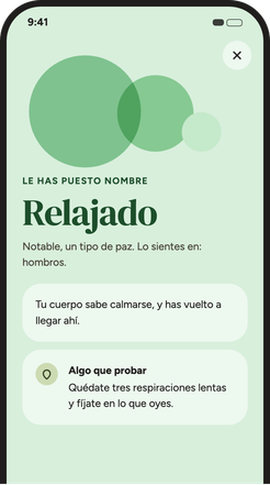 Pantalla que sugiere un pequeño paso para la emoción nombrada.