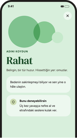 Adı konan duygu için küçük bir sonraki adım öneren ekran.